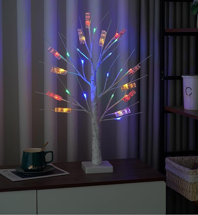 2 Pack Money Tree Gift Card Holder- DIY Birch Tree Lamp with 12 Clips and 24 Twig LEDs, Display Money Cash Photo for Birthday Christmas Home Party Festival Wedding (Coloured 2Pack)