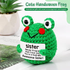 LEJIAJINW Funny Handmade Frog Gifts for Sister Christmas, Best Sister Christmas Birthday Gift, from Brother/Sister, Inspirational Encouragement Frog for Women Friends Bestie, I Love You, Just Because