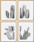 SIGNWIN Framed Black & White Saguaro Southwest Desert Tropical Cactus Wall Art, Set of 4 Floral Botanical Wall Decor Prints, Nature Wilderness Wall Décor for Living Room, Bedroom - 11"x14" Natural