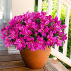Artificial Flowers for Outdoors, 3 Bundles Fake Silk Azalea Bouquet Faux Flower Plants Outside Decoration UV Resistant Realistic Fake Flowers for Planter Front Door Patio Garden Walkways Home, Fuchsia