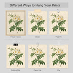 SIGNWIN Poster Bathroom Decor, Wall Art Room Decor Multicolor for Living Room, Bedroom, Office Vintage Colorful Wildflower Variety Nature Wilderness Plant Art Floral Botanical - 12"x16"x4