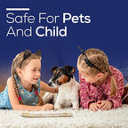 Raajsee Incense Stick Holder Bundle with Satya Nag Champa Incense Sticks 250 gmx 2 Pack (500 GMS), Insense Sticks Nag Champa Agarbatti