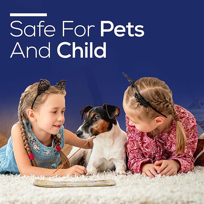 Raajsee Incense Stick Holder Bundle with Satya Nag Champa Incense Sticks 250 gmx 4 Pack (1000 GMS), Insense Sticks Nag Champa Agarbatti