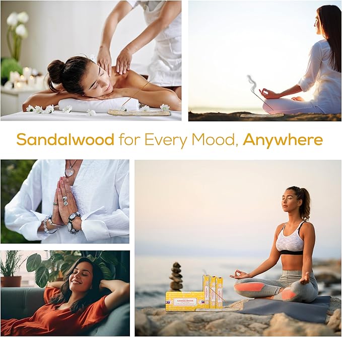 Satya Sandalwood Incense Sticks, Satya Bng Insens 15gmx12 Pack with Raajsee Insence Holder Bundle, Satya Nagchampa Natural Incence