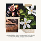 Airkeep Reed Diffuser Set/Ocean Mist&Sea Salt/6.76 fl oz(200ml)/1 Pack/Home & Office Decor Aromatherapy Diffuser Oil Gift Set