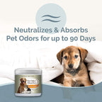 SMELLS BEGONE Air Freshener Pet Odor Absorber Gel - 15 oz, Pack of 2 - Absorbs and Eliminates Odor in Pet Areas, Bathrooms, Cars, & Boats - Made with Essential Oils - Citrus Scent