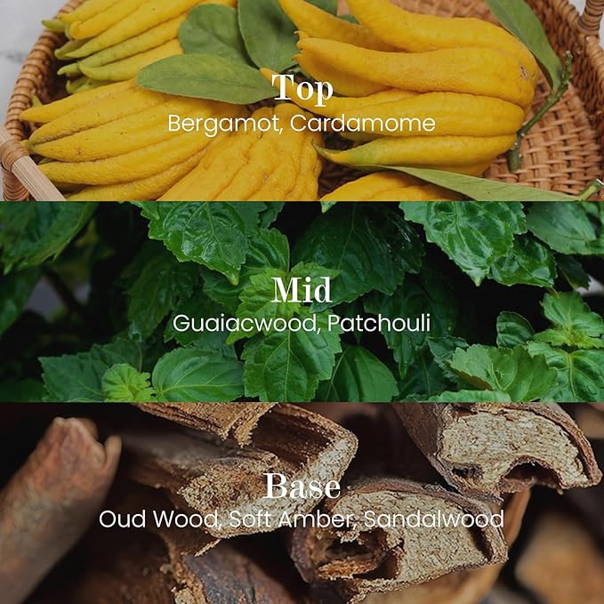 M&SENSE Natural Soy Candle| Oud Wood | 8.82 oz, 50H Burn | Minimalist Scented Candle for Relaxation, Gifting, Home Décor | for Bedroom, Office, Party Medium