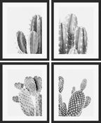 SIGNWIN Framed Black & White Saguaro Southwest Desert Tropical Cactus Wall Art, Set of 4 Floral Botanical Wall Decor Prints, Nature Wilderness Wall Décor for Living Room, Bedroom - 11"x14" Black