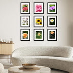 12 Packs 8.5 by 11 Picture Frames, Display 6x8 with Mat or 8.5x11 Without, for Award Certificate Diploma Document, 8.5 x 11 Frames Bulk Set of 12 Photo Frames Set for Wall and Tabletop, Black