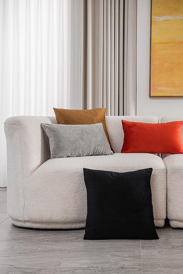 Decorative Pillow Covers 18x18 Black: 2 Pack Cozy Soft Velvet Square Throw Pillow Cases for Farmhouse Home Decor