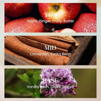 M&SENSE 6.3 oz Large Reed Diffuser Set | Cinnamon Vanilla Scent Oil Diffuser with Sticks | Hotel Collection Non-Toxic Essential Oil |for Bedroom Bathroom Living Room