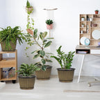 Planter-Pots-for-Plants-Indoor-Outdoor, 4 Pack 10 Inch Plastic Flower Pots with Saucer & Drainage Holes, Modern Garden Planters for Planting Medium Large Plants，Decorative Resin Garden Pots