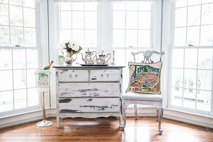 Catstudio Tennessee Embroidered Decorative Throw Pillow