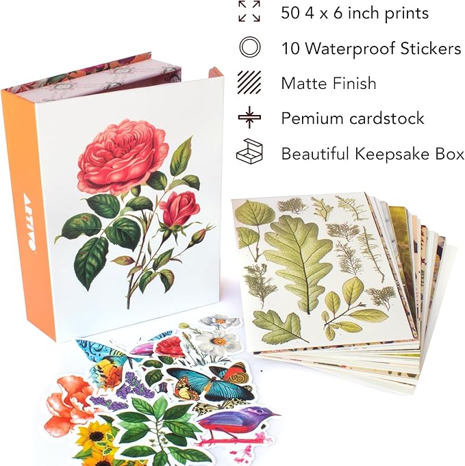 Artivo Vintage Decor Wall Collage Kit, Botanical Wall Collage Cards, Vintage Wall Decor Art Print, Bedroom Decor for Women, 50 Set 4x6 inch