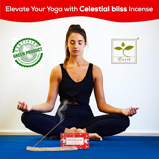 Satya Celestial Bliss Incense Sticks, Satya Bng (Bangalore) Insenses 15gmx12 Pack with Raajsee Incense Holder Bundle, Satya Nagchampa Natural Incense