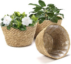 Athaliah Plant Basket Set of 3, Indoor Woven Planter Baskets with Plastic Liner, Water Hyacinth and Corn Husk Decorative Pots for Rustic Home & Floor Plant Decor (Natural Color-3)