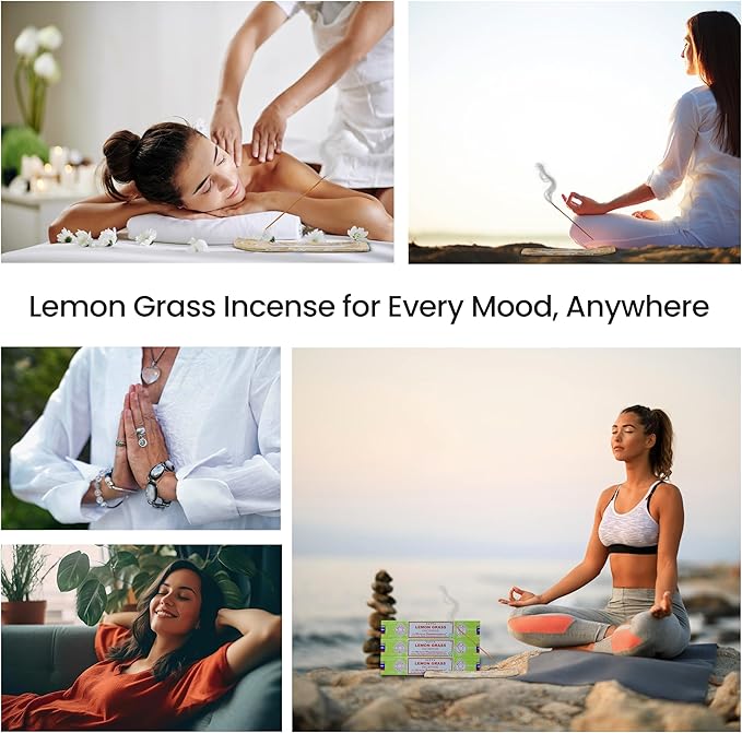 Satya Lemon Grass & Nagchampa Incense - 15gmx12 Pack with Raajsee Incense Holder