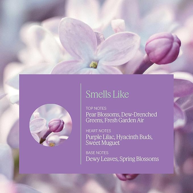 Aera Lilac Daydream Home Fragrance Scent Refill - Notes of Dewy Leaves and Spring Blossoms - Works with The Aera Diffuser