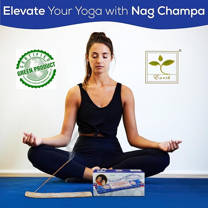 Satya Nagchampa Incense Sticks, Satya Bng (Bangalore) Insenses 15gmx12 Pack with Raajsee Incense Holder Bundle, Satya Nagchampa Natural Incense