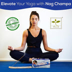 Satya Nagchampa Incense Sticks, Satya Bng (Bangalore) Insenses 15gmx12 Pack with Raajsee Incense Holder Bundle, Satya Nagchampa Natural Incense