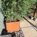 Corten Steel Planter Metal Square Planter Tall Cube Rustic Steel Planters 27.6 Inch Durable Antique Detached for Outdoor Commercial Residential Garden Patio Deck and Backyard