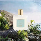 COCORRÍNA Reed Diffuser - Ocean Mist 6.7 Fl.oz Reed Diffuser Set with Sticks & Preserved Baby's Breath, Reed Diffuser for Home Bathroom Shelf Decor