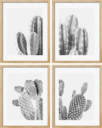 SIGNWIN Poster Set Black & White Saguaro Southwest Desert Tropical Cactus Floral Botanical Photography Modern Art Decorative Scenic Multicolor Nature Wilderness for Bedroom - 12"x16"x4