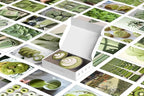 Y2K BOO Matcha Green Wall Collage Kit - 50 Aesthetic Posters for Room Decor, Perfect for Dorms and Bedrooms, Trendy Green Wall Art for Teen Girls and Modern Spaces