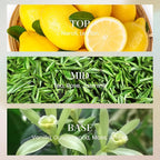 M&SENSE 6.3 oz Large Reed Diffuser Set | Neroli Noir Scent Oil Diffuser with Sticks | Hotel Collection Non-Toxic Essential Oil |for Bedroom Bathroom Living Room