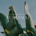 Antica Farmacista Home Ambiance Diffuser, Lush Palm, 16.9 Fl Oz