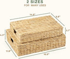 Set of 2 Wicker Baskets with Lid for Organizing - Decorative Storage Boxes With Lids for Home Decor, Shelves - Organic Modern Home Decor - Remote Box - Coffee Table Basket