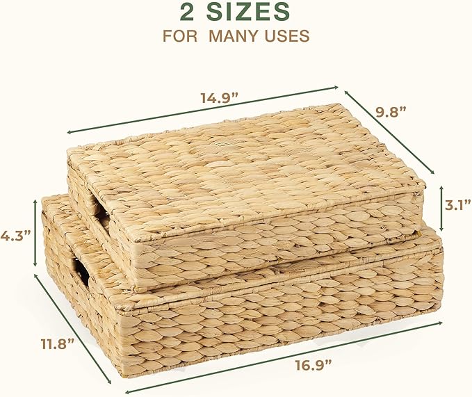 Set of 2 Wicker Baskets with Lid for Organizing - Decorative Storage Boxes With Lids for Home Decor, Shelves - Organic Modern Home Decor - Remote Box - Coffee Table Basket