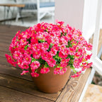 HyeFlora Artificial Flowers for Outdoors Fake Plants Outside Decoration, 12 Bundles Silk Hot Pink Morning Glory UV Resistant Look Real Faux Flowers for Planter Front Door Porch Patio Yard Gardens Home