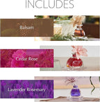 AGRARIA Into The Woods PetiteEssence Collection, Handmade Sola Flower Reed Diffuser Set of 3, Luxury Home Fragrance Scented Oil Diffuser Gift Set