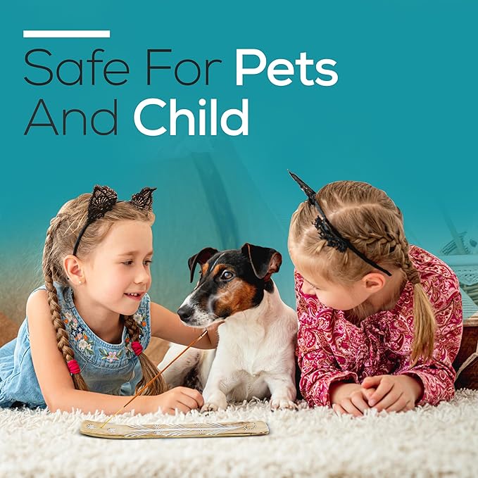 Satya Money Matrix Incense Sticks 180 gm (15GM X 12 Pack) from Satya Mumbai and Raajsee Incense Sticks Holder Bundle, Free from Chemicals,Natural Insenses