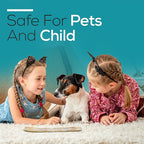 Satya Money Matrix Incense Sticks 180 gm (15GM X 12 Pack) from Satya Mumbai and Raajsee Incense Sticks Holder Bundle, Free from Chemicals,Natural Insenses