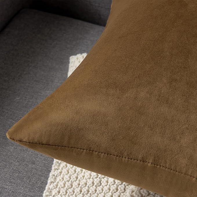 Throw Pillow Cases 20x20 Golden Brown: 2 Pack Cozy Soft Velvet Square Decorative Pillow Covers for Farmhouse Home Decor