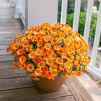 Daisy Artificial Flowers for Outdoors Fall Autumn Decoration, 6 Bundles Fake Mums Orange Silk Flowers for Outside Look Real UV Resistant Fake Plants Faux Flowers for Planter Front Door Home Indoor Urn