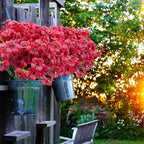 Uieke 72 Bundles Artificial Fake Flowers Outdoor UV Resistant Faux Plants Plastic Cemetery Flowers No Fade Outside Home Garden Porch Window Box Summer Décor -Rose Red