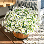 Daisy Artificial Flowers for Outdoors Fall Autumn Decoration, 6 Bundles Fake Mums White Silk Flowers for Outside Look Real UV Resistant Faux Flowers Plants for Planter Front Door Home Indoor Porch Urn