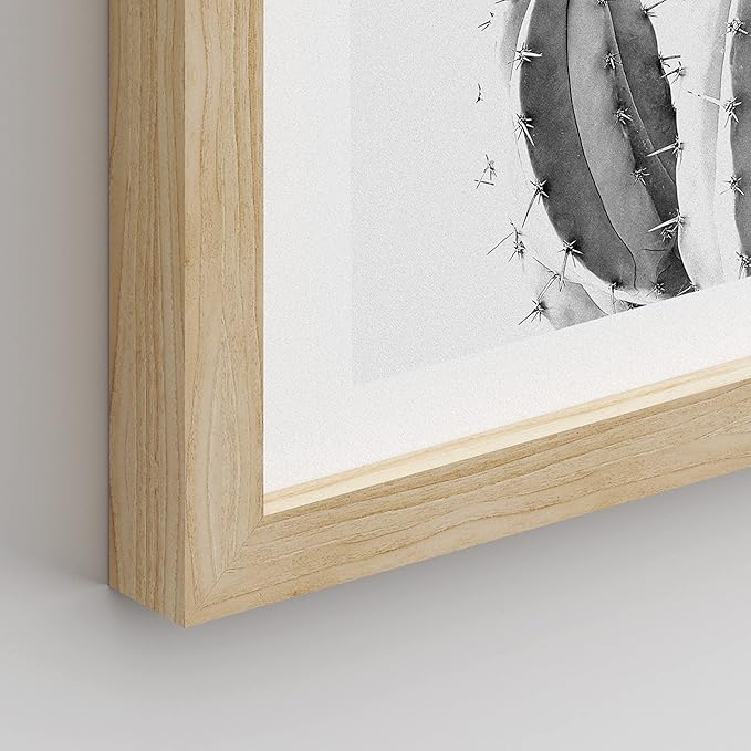 SIGNWIN Framed Black & White Saguaro Southwest Desert Tropical Cactus Wall Art, Set of 4 Floral Botanical Wall Decor Prints, Nature Wilderness Wall Décor for Living Room, Bedroom - 11"x14" Natural