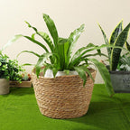 Woven Straw Flower Pot Seagrass Planters Basket Garden Plant Pot Containers Wicker Rattan Vase Sundries Organizer Storage Bins for Indoor Outdoor Plants