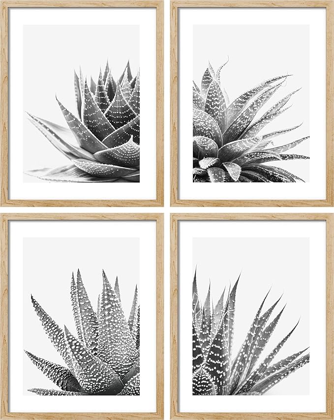 SIGNWIN Poster Set Black White Snake Plant Agave Cactus Succulent Close Up Floral Botanical Photography Modern Art Decorative Scenic Multicolor Nature Wilderness for Bedroom - 11"x14"x4