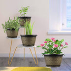 4 Pack 12 Inch Plant Pots,Large-Plant-Flower-Planters-Plastic, Flower Pots Outdoor Indoor with Drainage Holes & Trays, Retro Antique Imitation Decorative Garden Sets for Houseplants