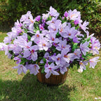 Artificial Flowers for Outdoors, 3 Bundles Fake Silk Azalea Bouquet Faux Flower Plants Outside Decoration UV Resistant Realistic Fake Flowers for Planter Front Door Patio Garden Walkways Home, Purple