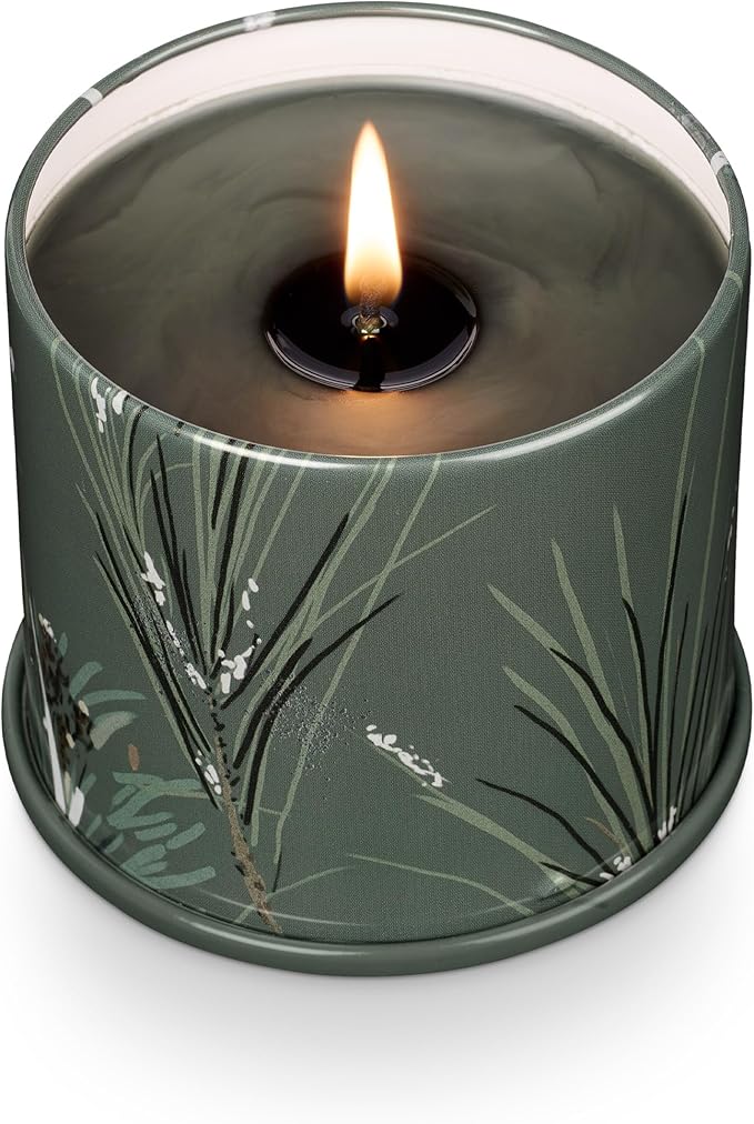 ILLUME Vanity Tin Candle, Balsam & Cedar (Pack of 6)