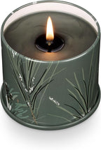 ILLUME Vanity Tin Candle, Balsam & Cedar (Pack of 6)