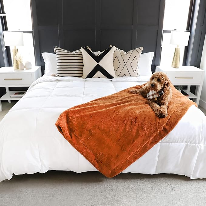 Gray Eagle Oversized King Comforter 120x120 – Extra Large Synthetic Down Alternative Comforter – Ultra Soft Microfiber, All-Season, Lightweight & Fluffy – Hotel-Quality, Machine Washable, White