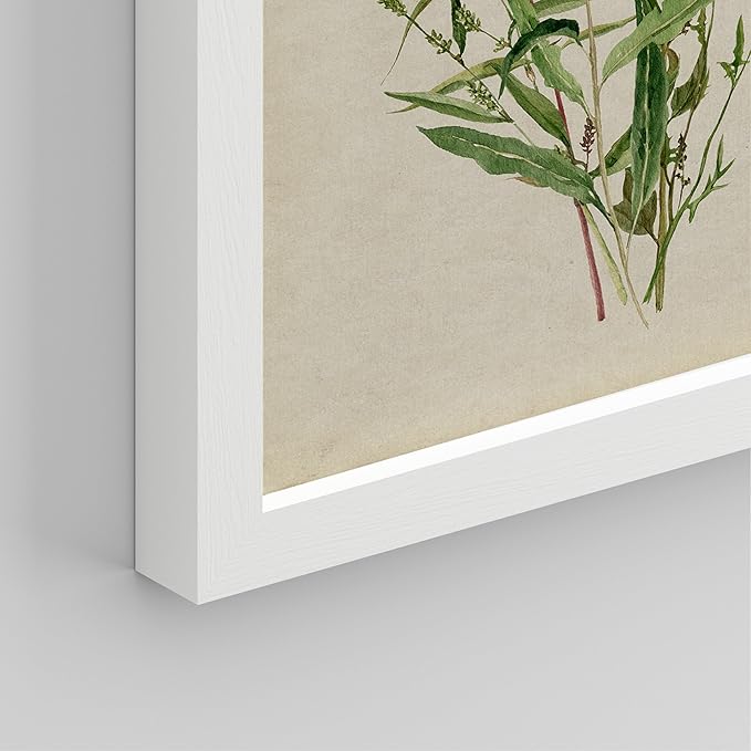 SIGNWIN Framed Watercolor Floral Botanical Wall Art, Set of 4 Vintage Wall Decor Prints, Minimalist Wall Décor for Living Room, Bedroom - 12"x16" White