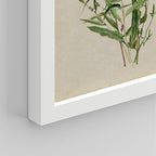 SIGNWIN Framed Watercolor Floral Botanical Wall Art, Set of 4 Vintage Wall Decor Prints, Minimalist Wall Décor for Living Room, Bedroom - 8"x10" White